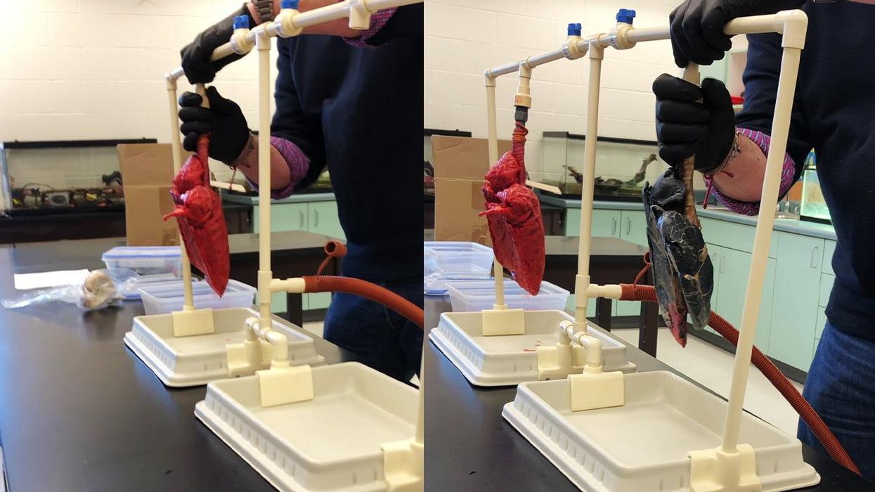 School teacher goes viral after explaining what 'first cousin once removed' actually means