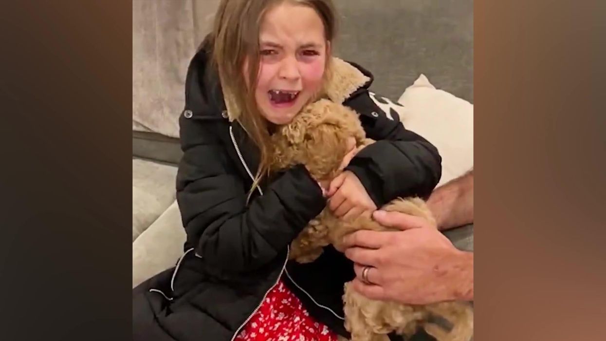 New scientific research shows what melts our hearts the most