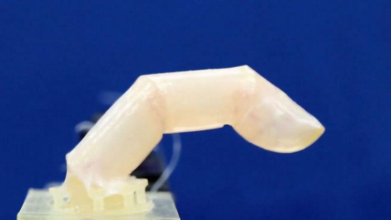 Astronomer claims robots have replaced aliens and they’re targeting humans next