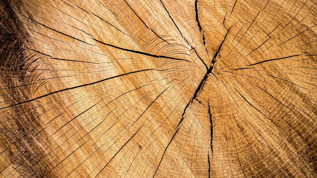 Scientists discover that a large swathe of the US is facing a serious earthquake threat