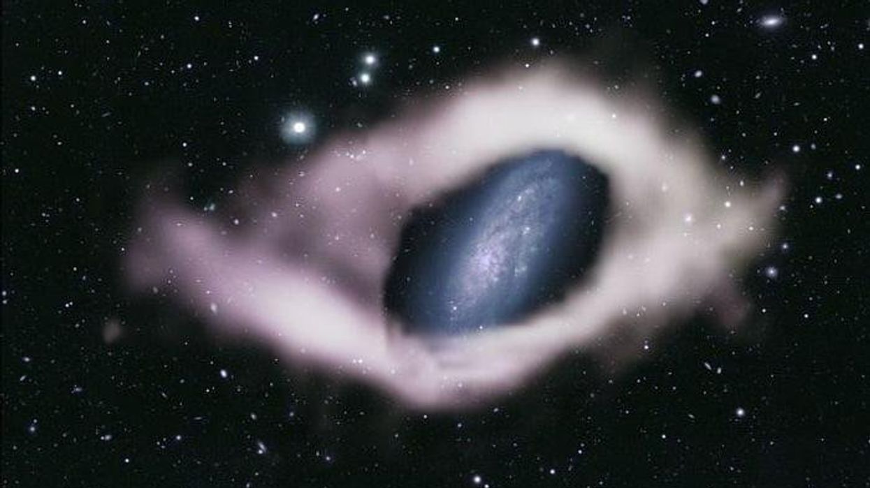 Scientists discover two new celestial objects in our galaxy