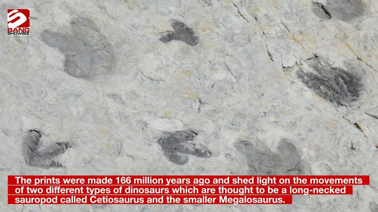 Huge dinosaur footprints discovered as scientists find 'dinosaur highway'