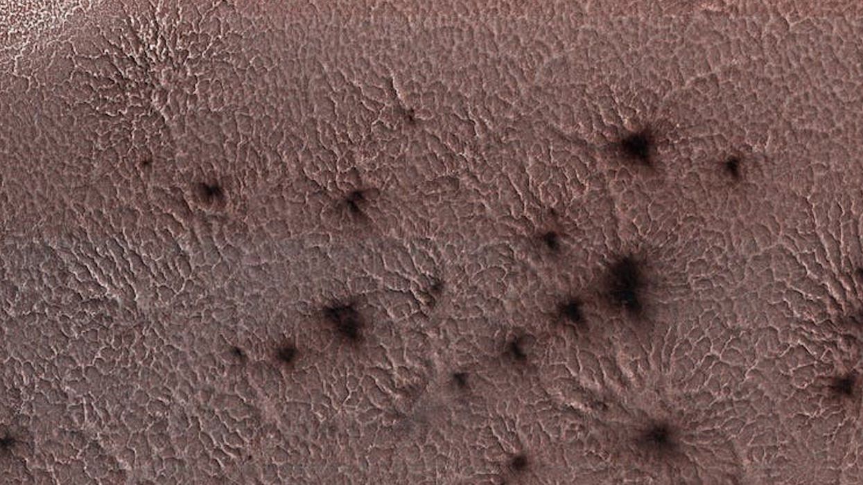 Scientists awaken Mars 'spiders' down on Earth in extraordinary experiment