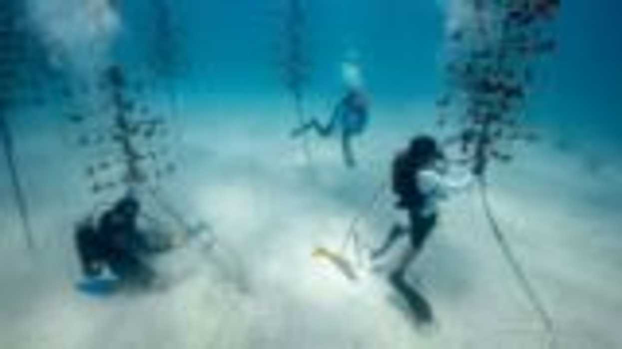 Massive ocean discovered beneath the Earth's crust containing more water than on the surface