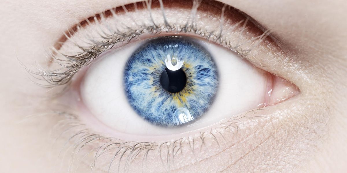 Every blue eyed person on the planet is a descendant of one single person