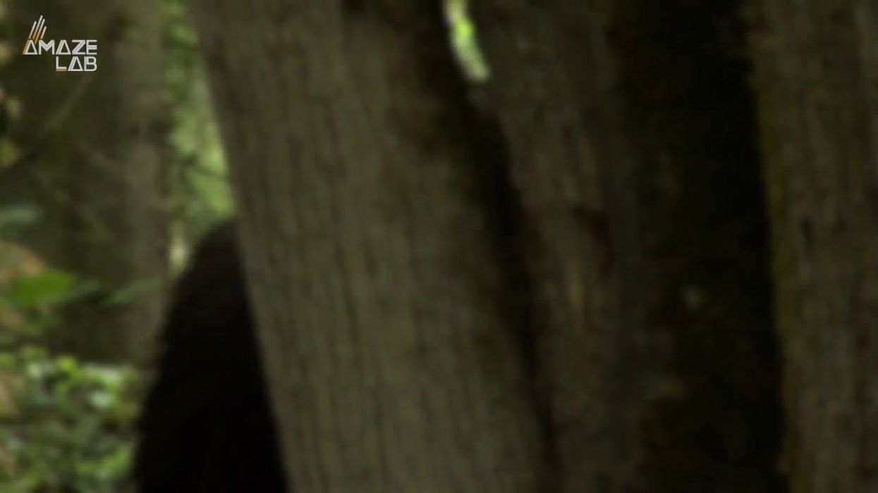 New footage of camouflaged 'Bigfoot' leaves viewers 'totally convinced'