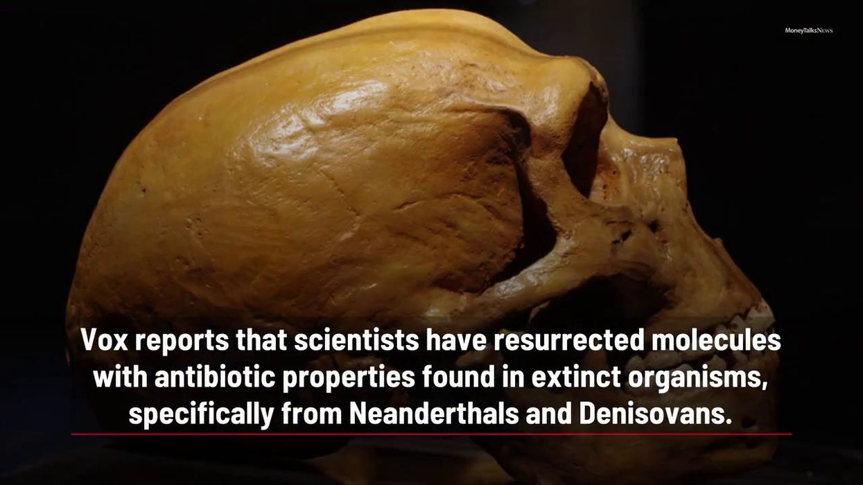 Scientists find evidence of new human species dating back 300,000 years