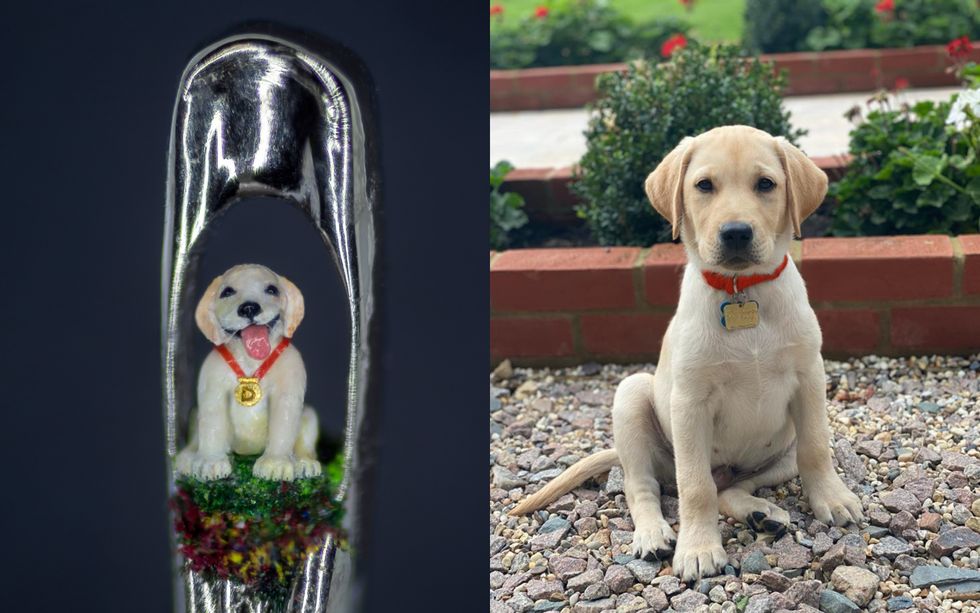 Artist used eyelash to paint puppy sculpture in the eye of a needle