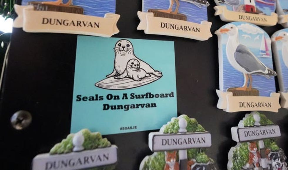 Seals spotted in Co Waterford