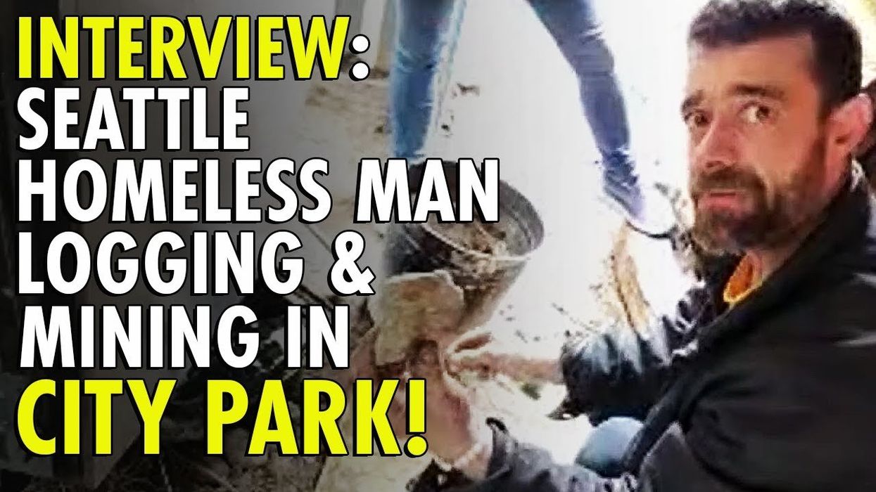 Man illegally builds 'timebomb' cabin in public park in search of hidden treasure