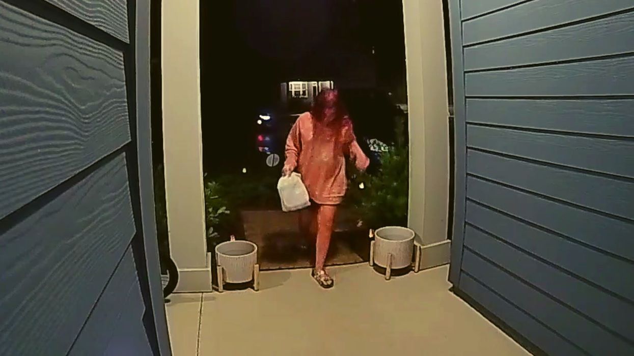 Woman uncovers truth about her missing dog thanks to disturbing dashcam footage