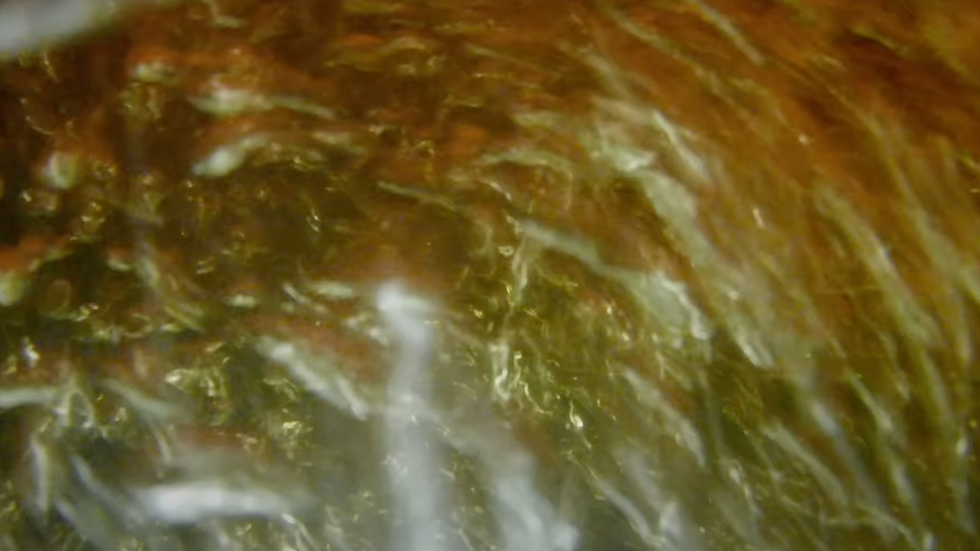 Seemingly endless bubbles rushed around continuously