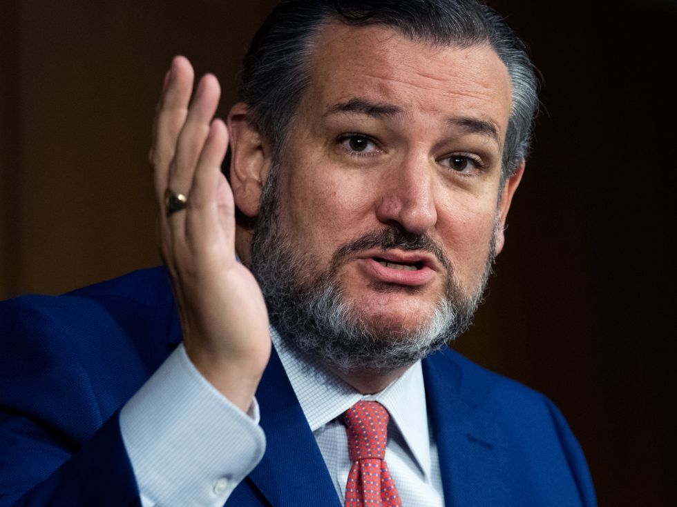 <p> Sen. Ted Cruz (R-TX)</p>