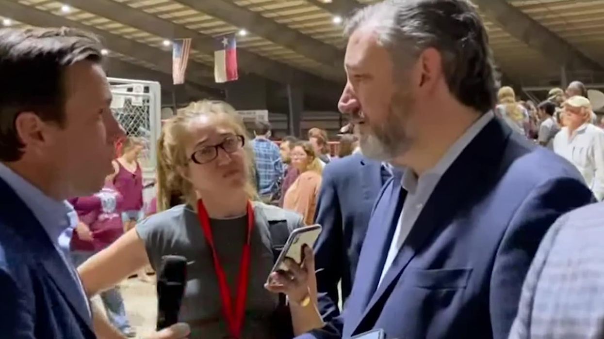 Ted Cruz snaps and calls Sky News reporter 'propagandist' after gun control question