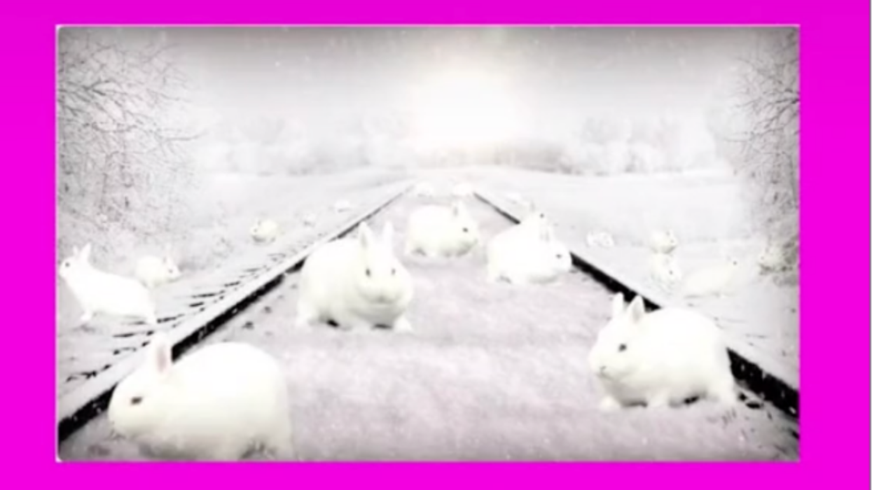 Several white rabbits are gathered around a snow covered train track, the ground is white and the sky is white, too, making it hard to make out all the rabbits.
