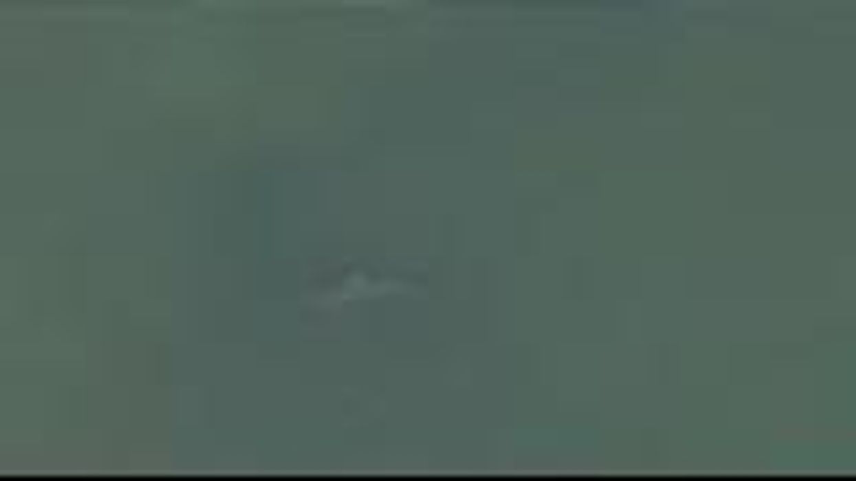 Man filmed 'wrestling shark on New York beach' - but all is not as it seems