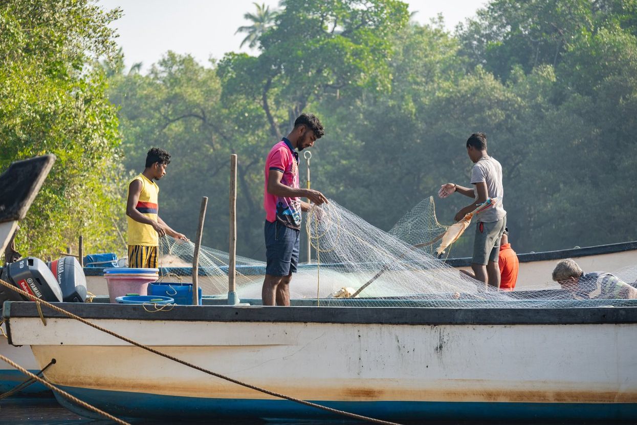 Fishermen discover brand new species of predator with 24 rows of teeth