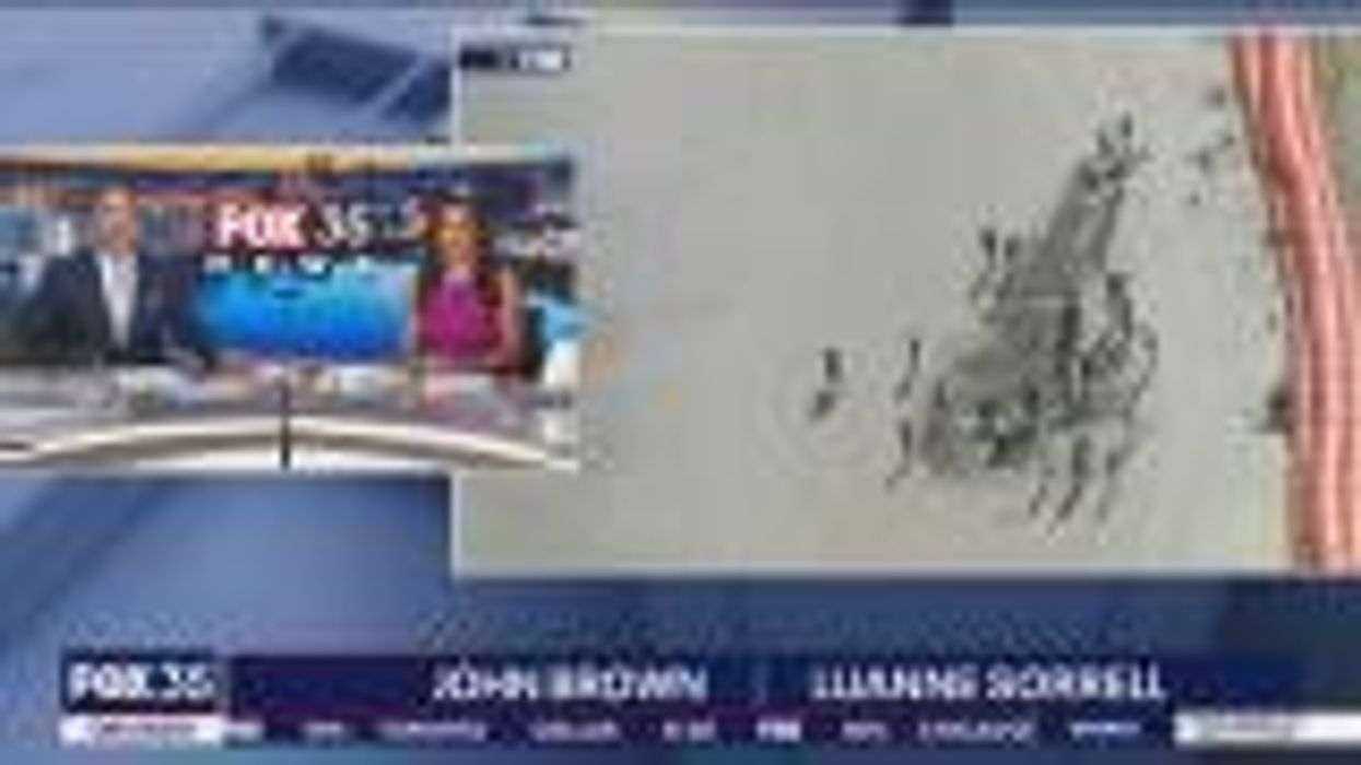 Huge mysterious object uncovered on Florida beach has been identified