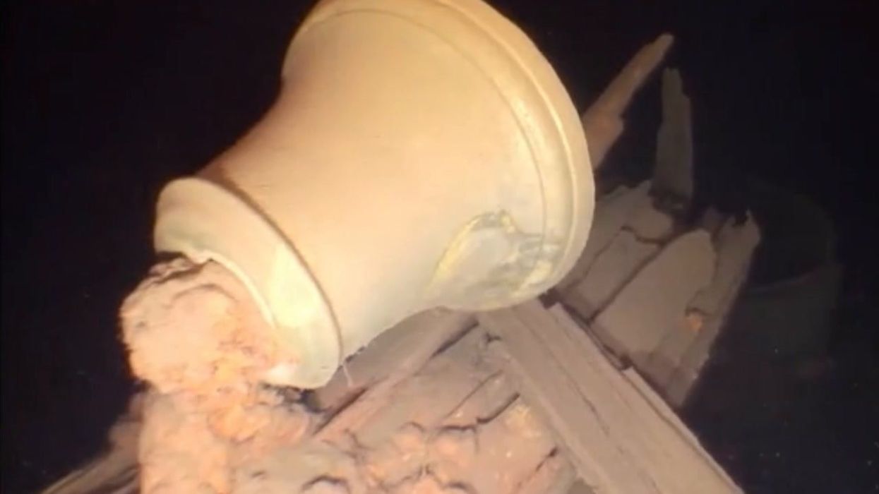 Child discovers historic 200-year-old shipwreck with a metal detector