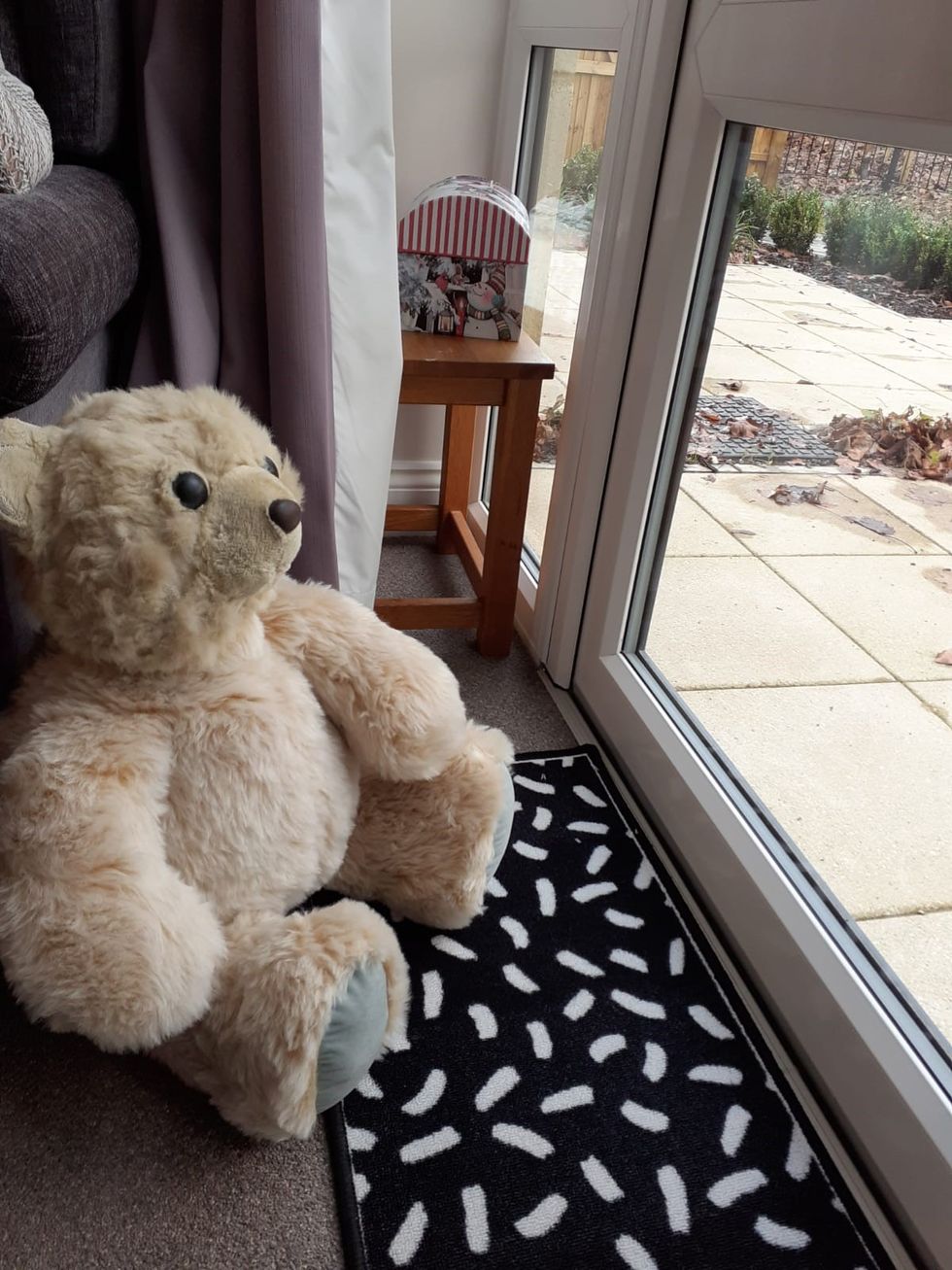 Teddy bear lovingly restored after washing up on beach in storm