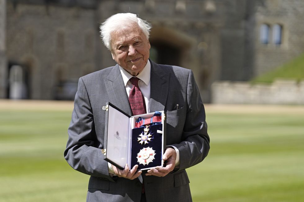 Sir David Attenborough beams as he collects high honour from Prince of Wales