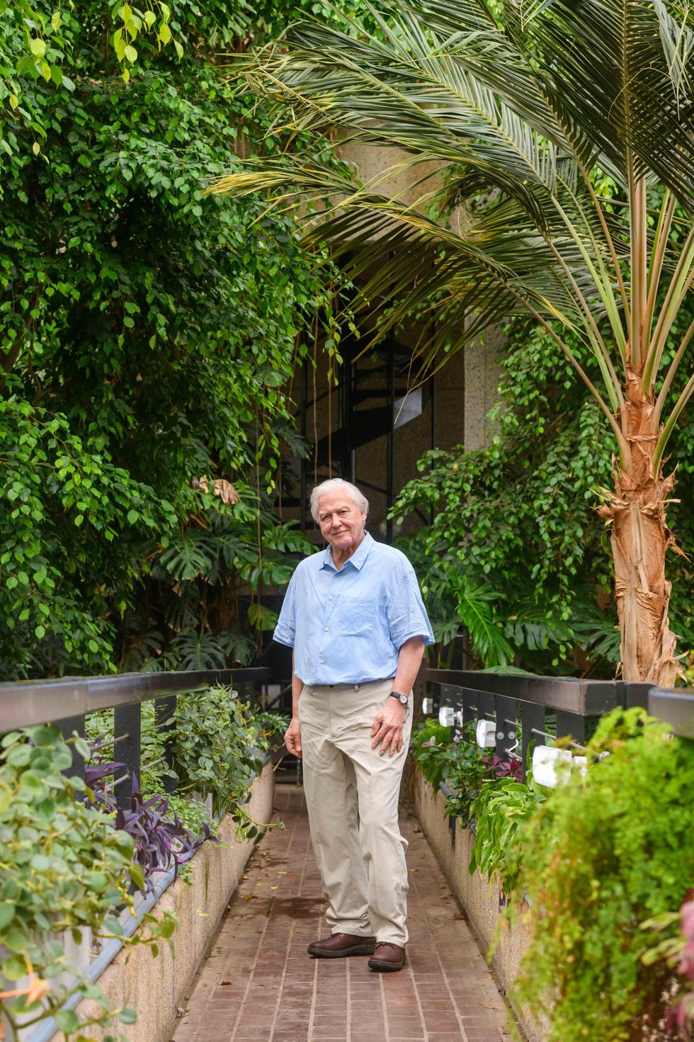 Madame Tussauds unveils new waxwork of Sir David Attenborough