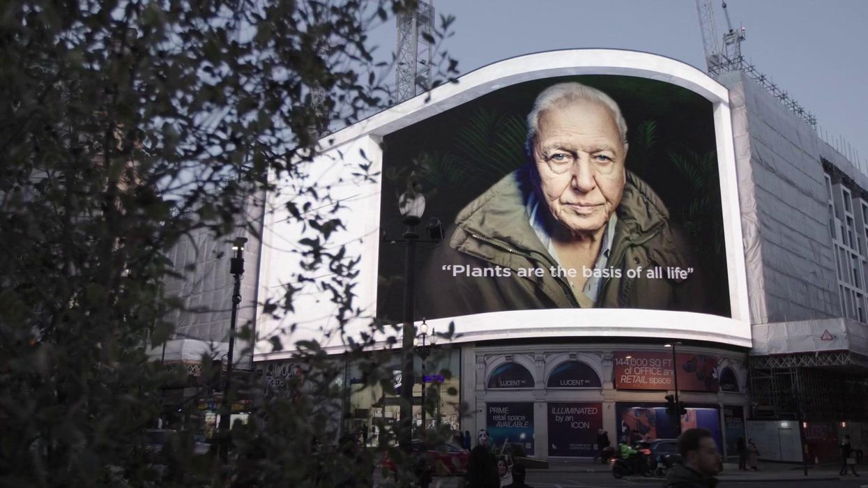 Sir David Attenborough appears on Piccadilly Circus screens to deliver plant power message