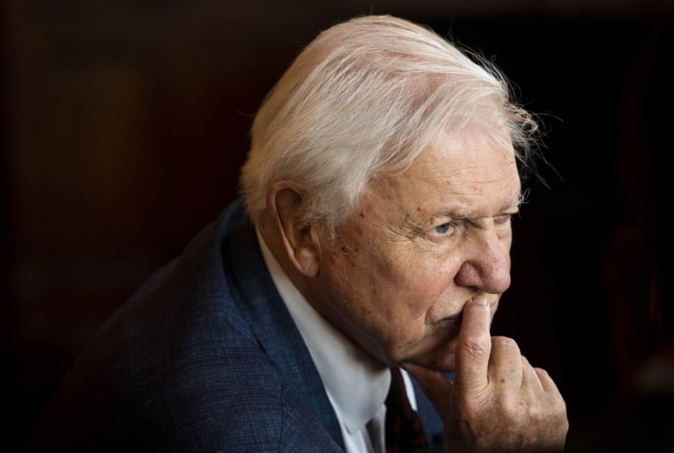 Sir David Attenborough will speak at the event (John Nguyen/PA)