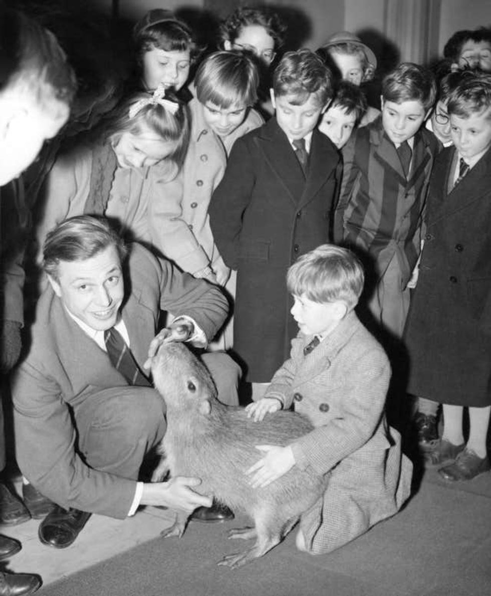 Sir David pets a capybara surrounded by schoolchildren in 1956