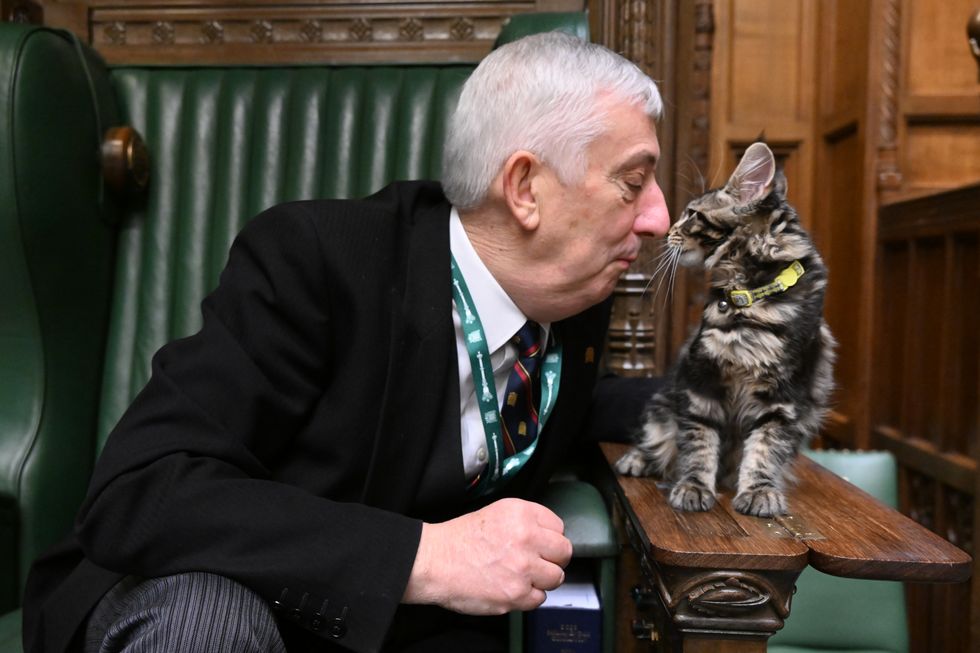Sir Lindsay Hoyle names new kitten after Clement Attlee