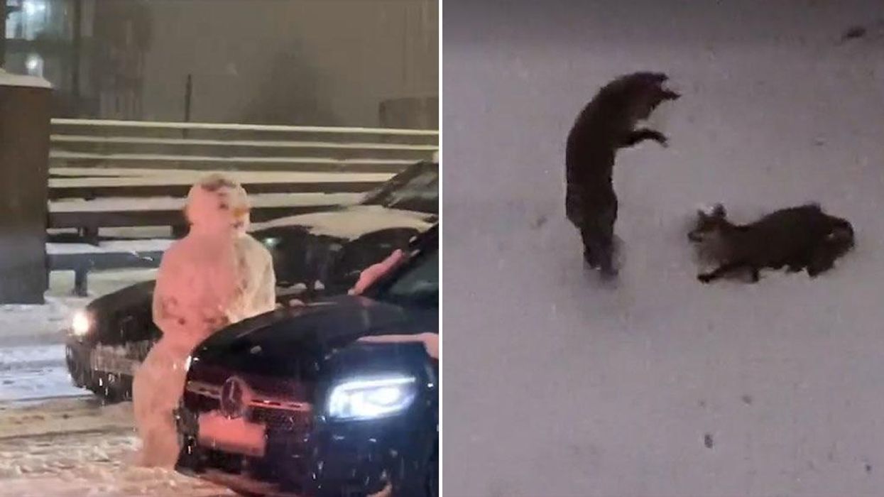 Five of the best videos from the UK waking up to snow