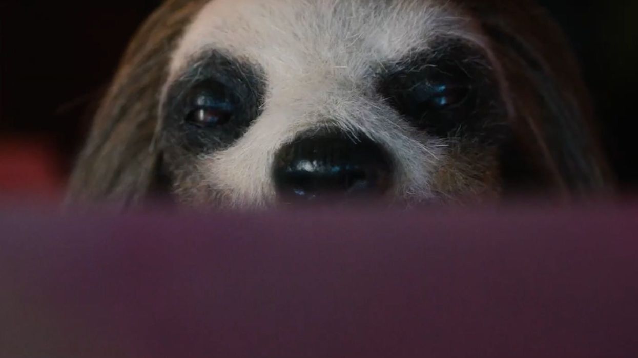 A 'killer sloth' horror movie is coming and no one can take the trailer seriously