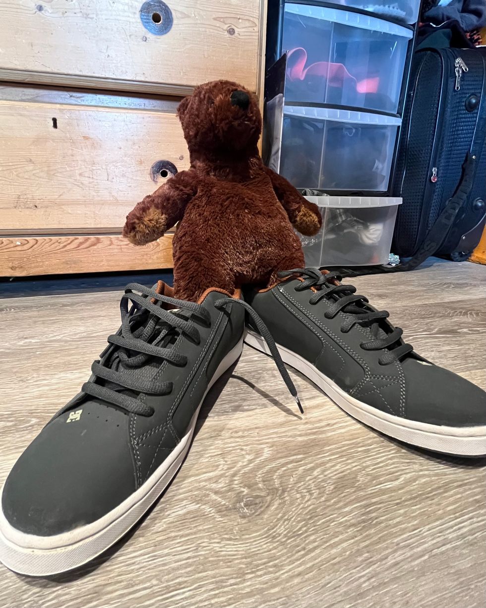 Small teddy bear wearing shoes