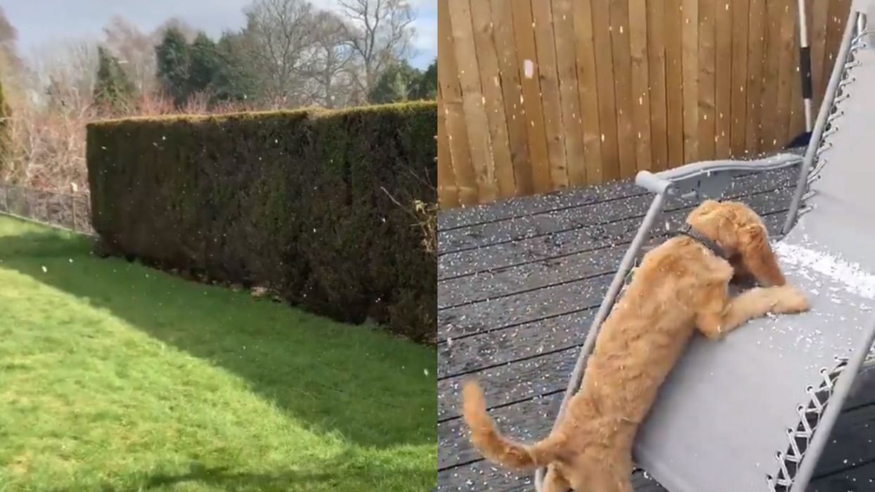 Snow in Dundee and Glasgow baffles onlookers