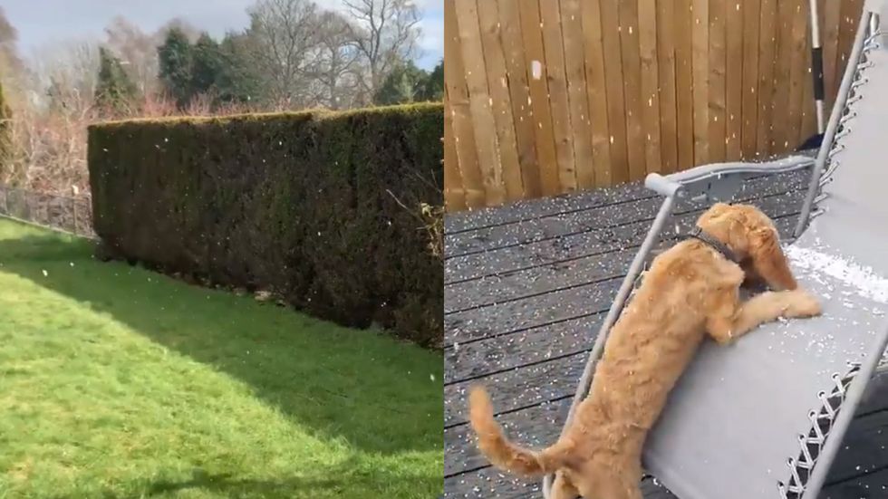 Snow in Dundee and Glasgow baffles onlookers