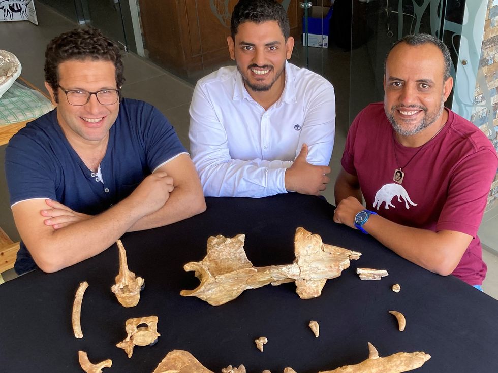Some Egyptian authors of the article surround the holotype fossils of the new whale, Phiomicetus anubis, at Mansoura University Vertebrate Paleontology center. From left: Mohamed Sameh, Abdullah Gohar and Hesham Sallam