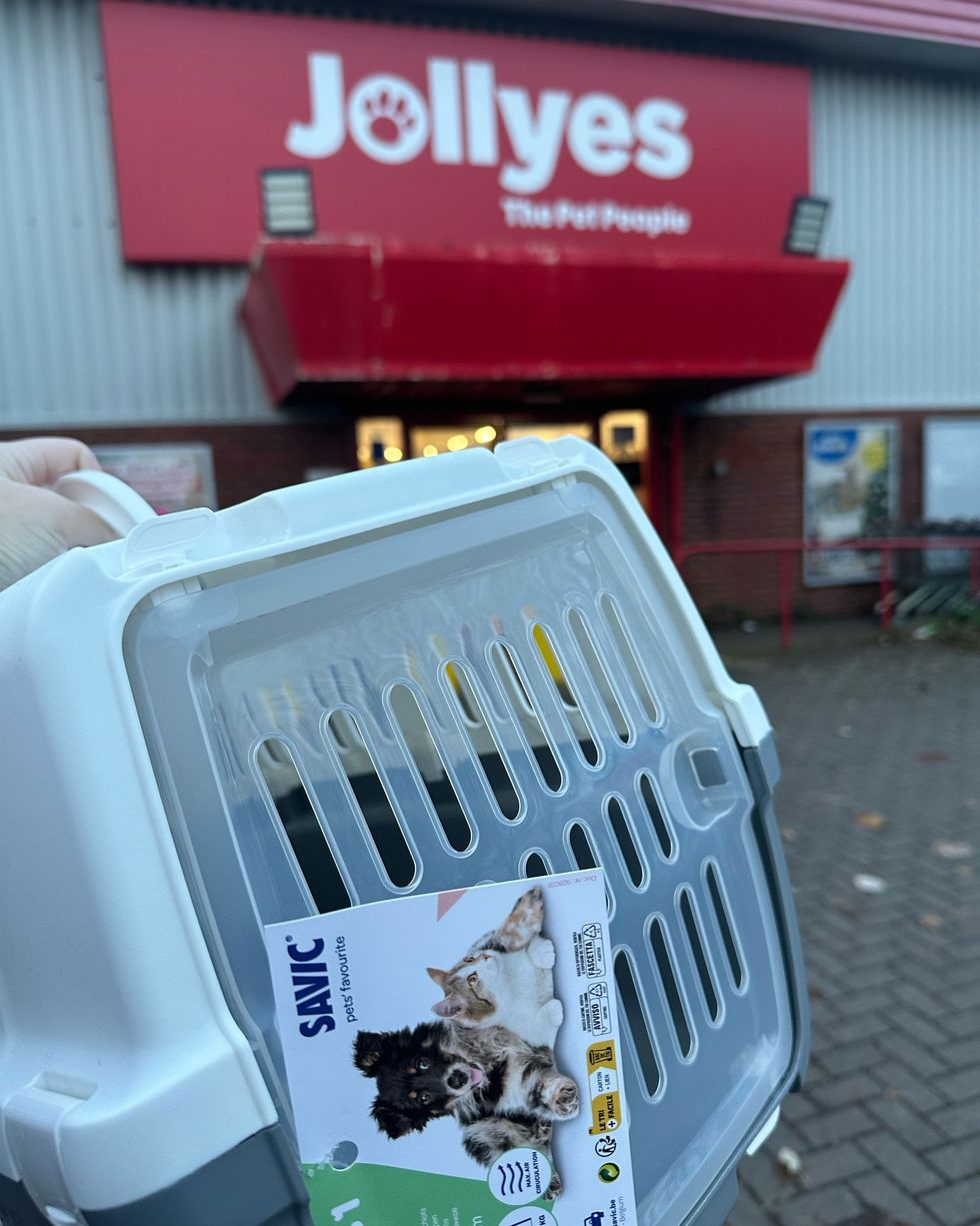 Someone holding a cat carrier