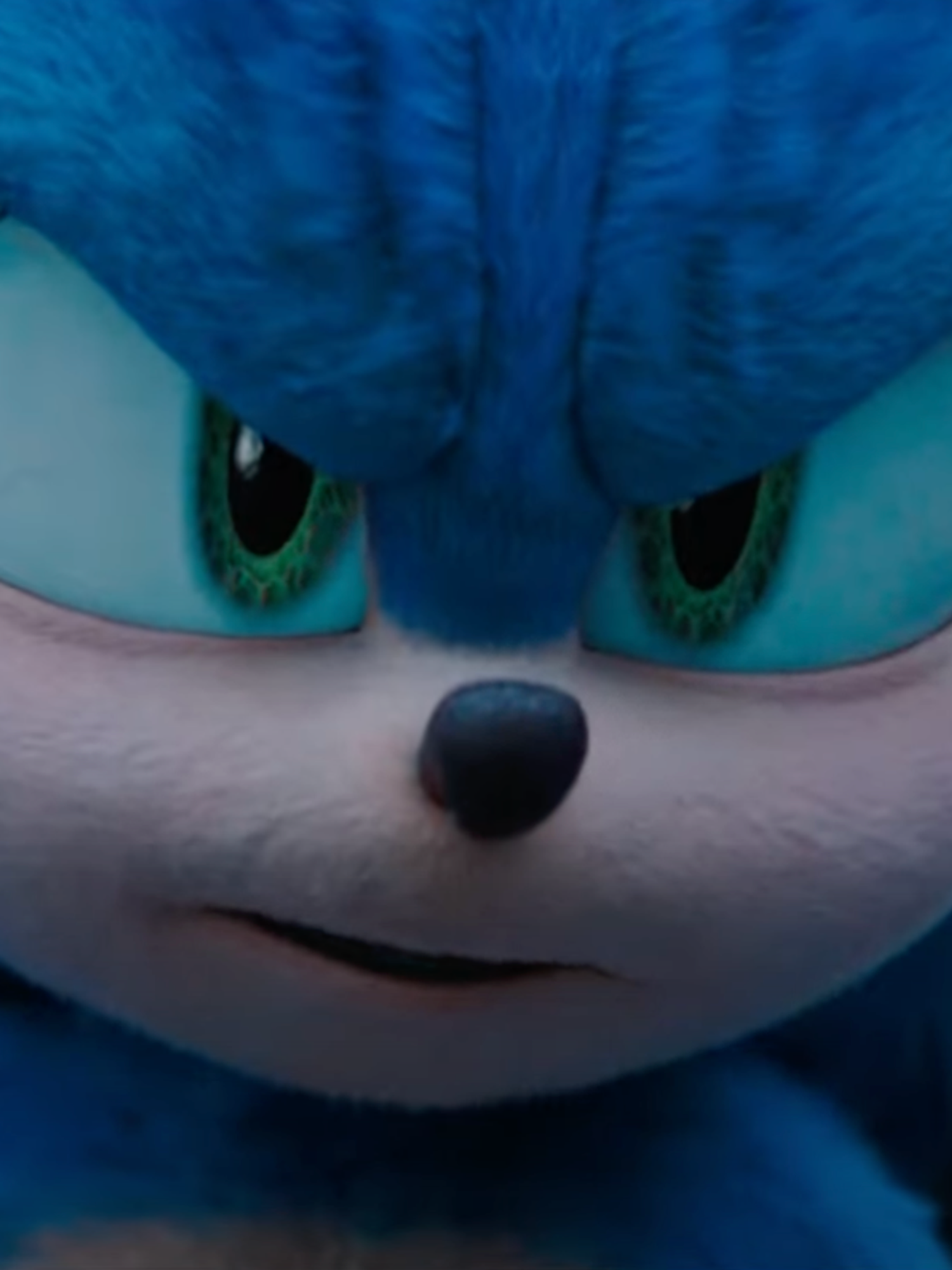 Sonic the Hedgehog, as animated in the movies, frowns at someone off-camera.