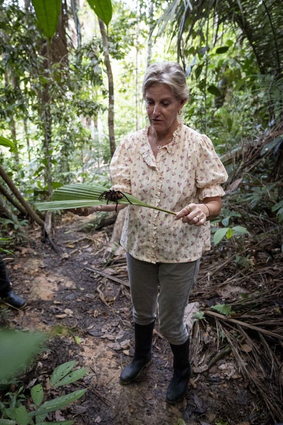 Sophie holds the spider on a leaf