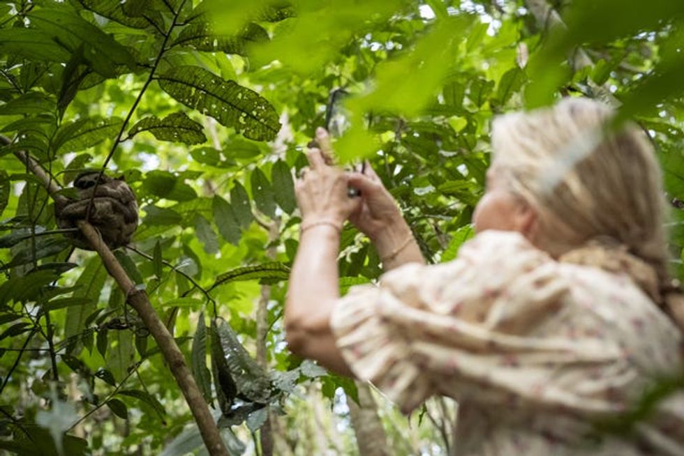 Sophie photographs a sloth