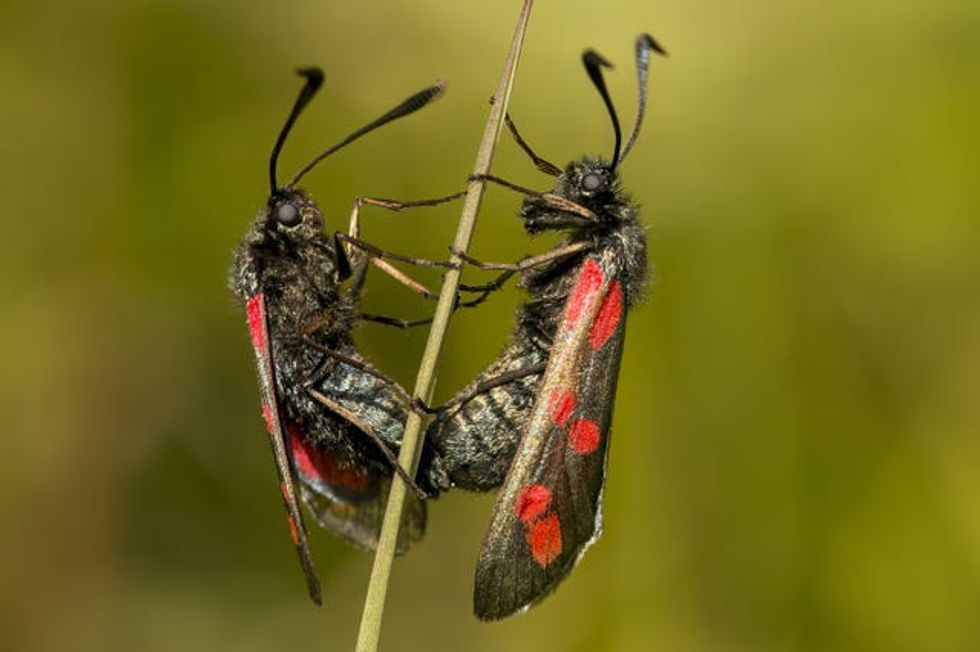 South Downs National Park photo competition