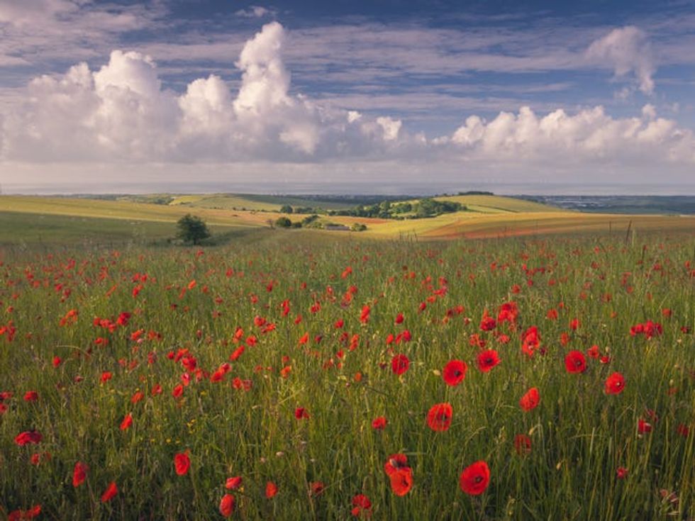 South Downs National Park\u2019s annual photo competition