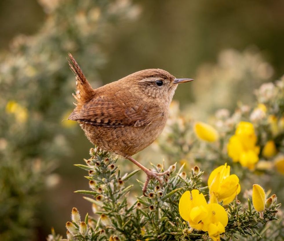 South Downs National Park\u2019s annual photo competition