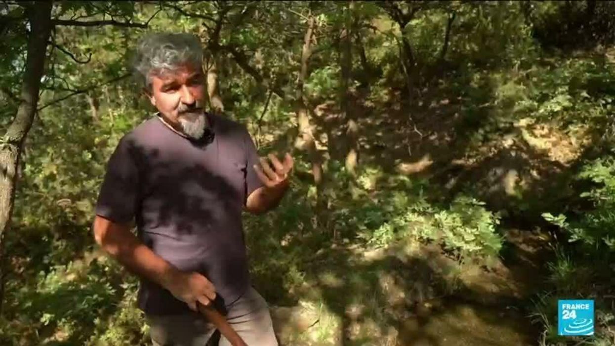 Family launch GoFundMe for Dad attacked in Spain and thrown off of a cliff