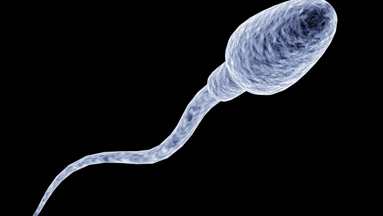 <p>Sperms counts are going to hit dangerous lows by 2045 if nothing is done</p>