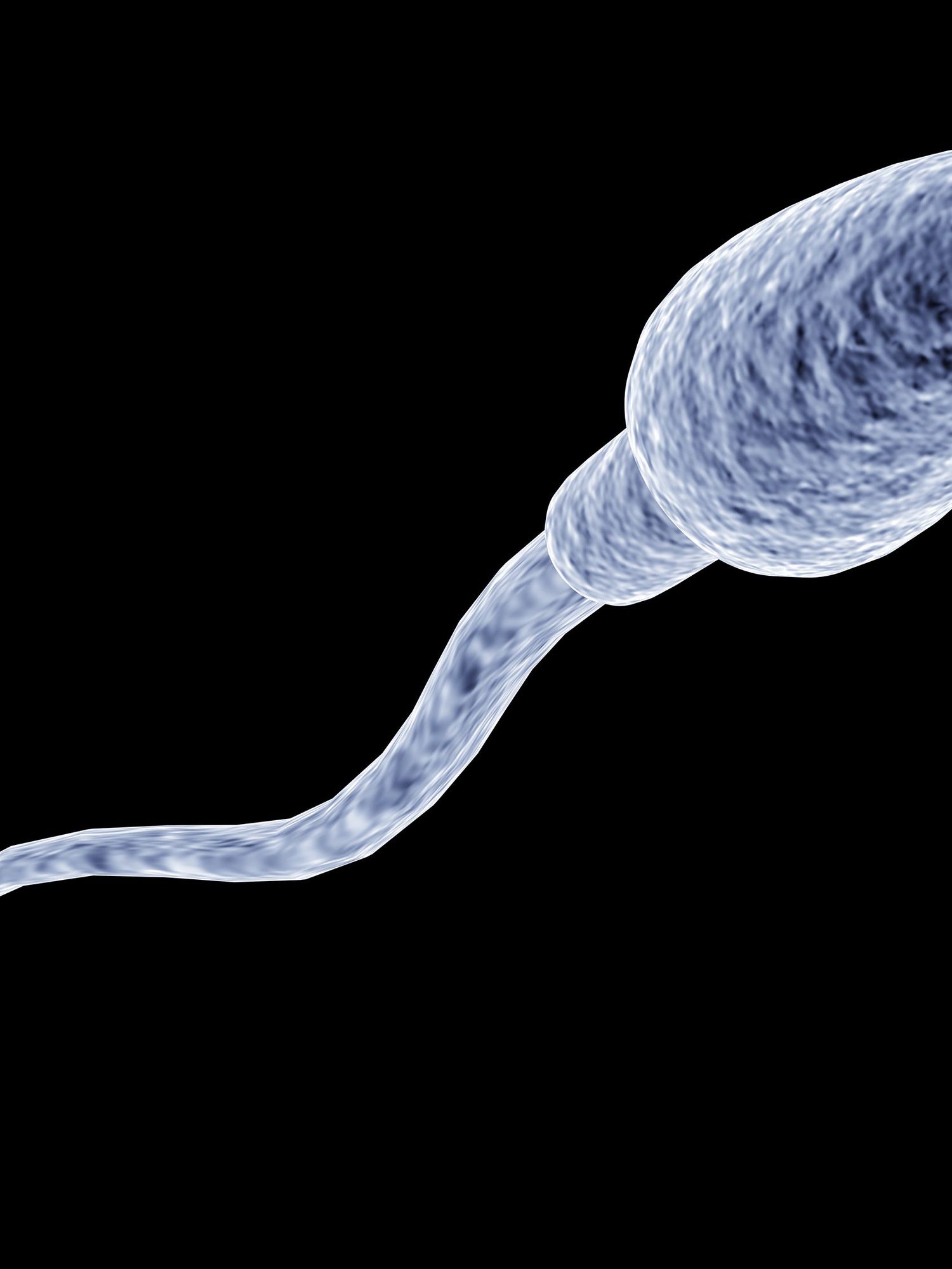 <p>Sperms counts are going to hit dangerous lows by 2045 if nothing is done</p>