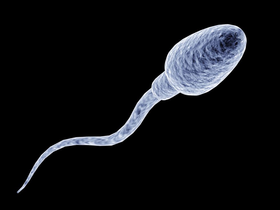 <p>Sperms counts are going to hit dangerous lows by 2045 if nothing is done</p>