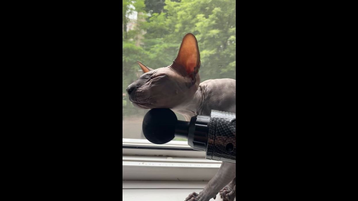 TikToker issues warning after massage gun used on wrong area lands woman in A&E