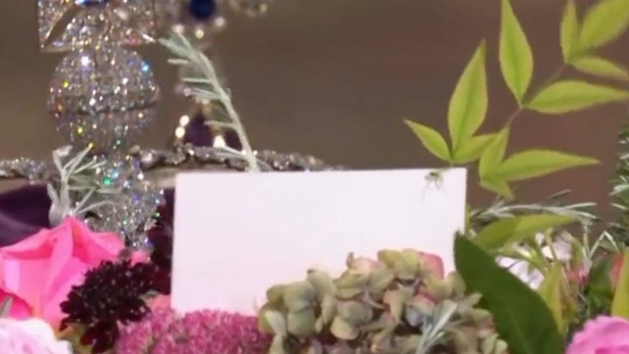 Spider accidentally becomes famous crawling across Queen's coffin during funeral