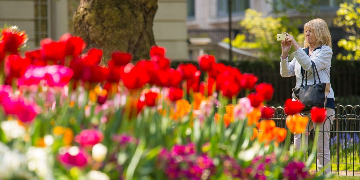 How to tell if it is finally spring | indy100